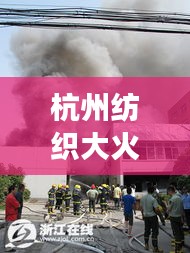 杭州纺织大火最新事件：杭州纺织业 