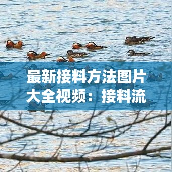 最新接料方法图片大全视频：接料流程 