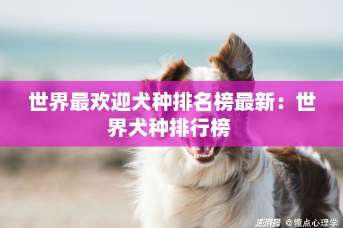 世界最欢迎犬种排名榜最新：世界犬种排行榜 