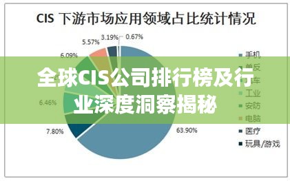 全球CIS公司排行榜及行业深度洞察揭秘