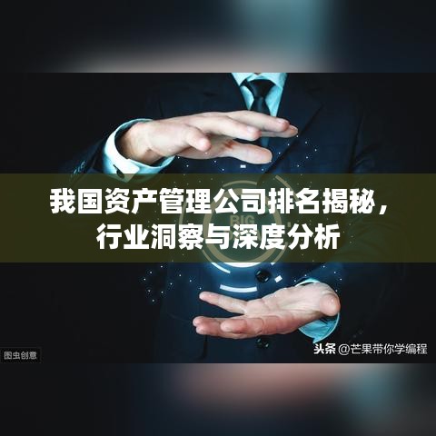 我国资产管理公司排名揭秘，行业洞察与深度分析