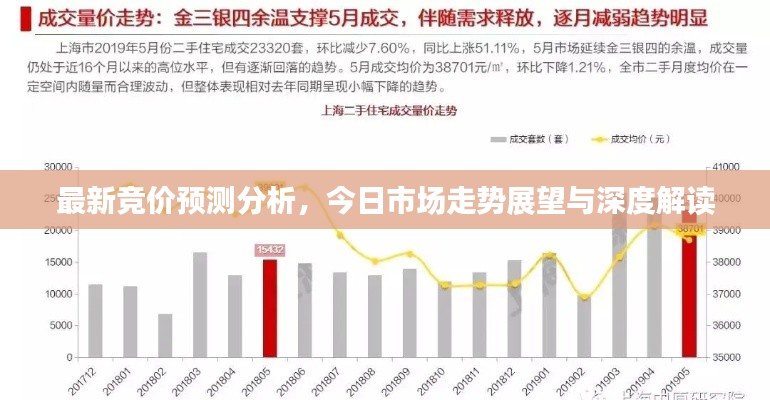 最新竞价预测分析，今日市场走势展望与深度解读