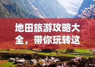 地田旅游攻略大全，带你玩转这片神秘之地！