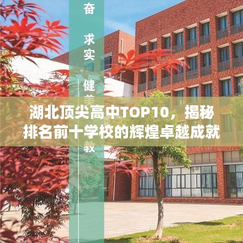 湖北顶尖高中TOP10，揭秘排名前十学校的辉煌卓越成就