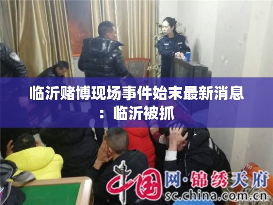 临沂赌博现场事件始末最新消息：临沂被抓 