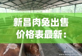 新昌肉兔出售价格表最新：新昌哪里卖牛肉 