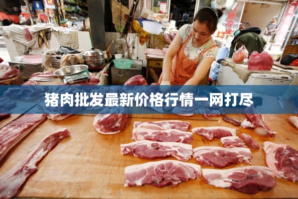 猪肉批发最新价格行情一网打尽