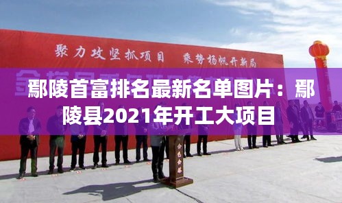 鄢陵首富排名最新名单图片：鄢陵县2021年开工大项目 