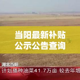 当阳最新补贴公示公告查询：当阳市政府釆购网网上商城 