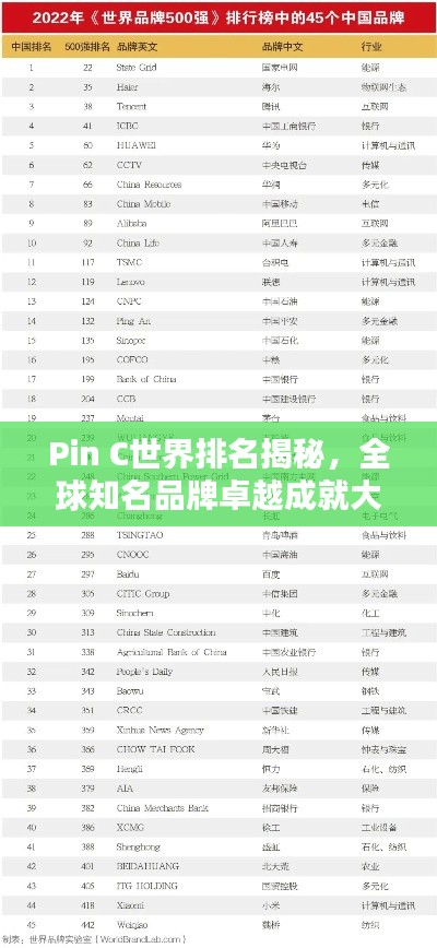 Pin C世界排名揭秘，全球知名品牌卓越成就大揭秘