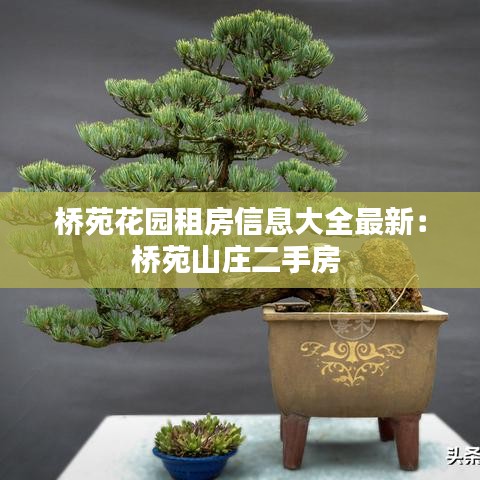 桥苑花园租房信息大全最新：桥苑山庄二手房 