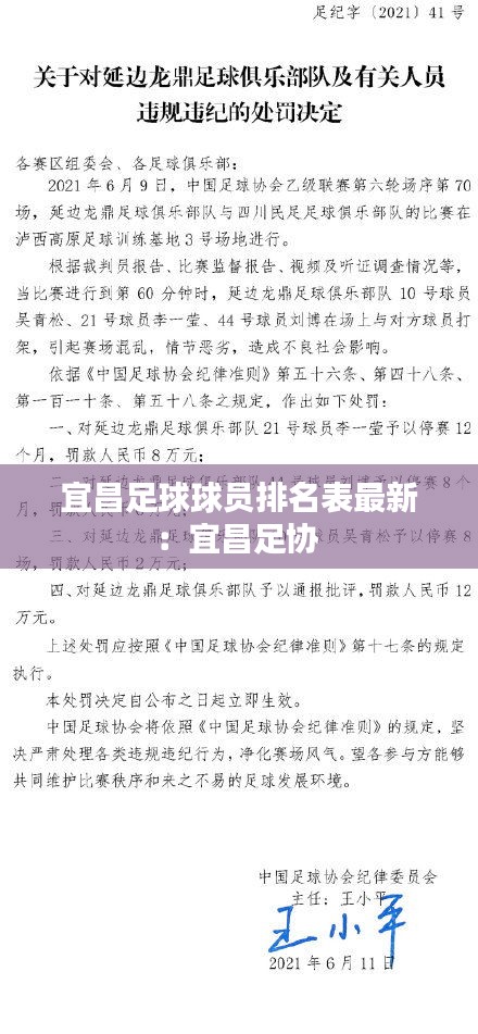 宜昌足球球员排名表最新：宜昌足协 