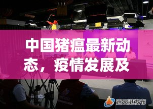 中国猪瘟最新动态，疫情发展及防控措施全面关注新闻头条