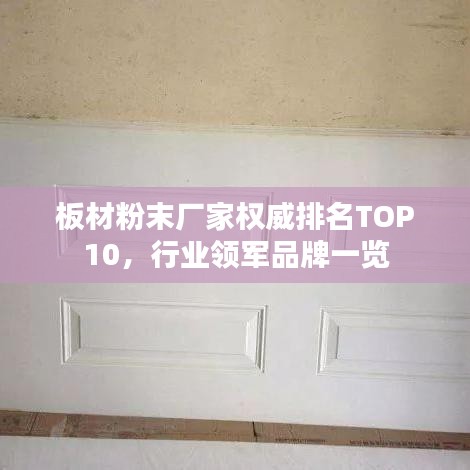 板材粉末厂家权威排名TOP10，行业领军品牌一览