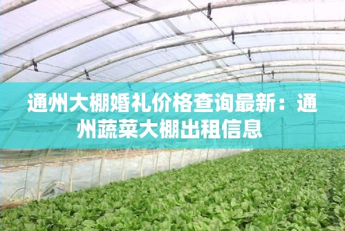 通州大棚婚礼价格查询最新：通州蔬菜大棚出租信息 