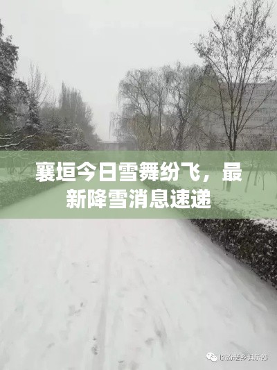 襄垣今日雪舞纷飞，最新降雪消息速递