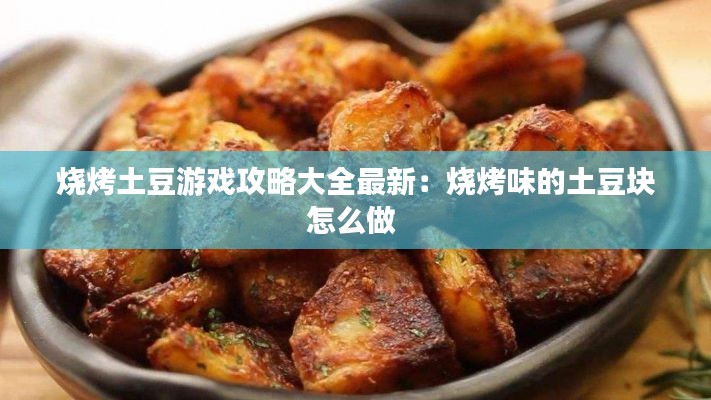 烧烤土豆游戏攻略大全最新：烧烤味的土豆块怎么做 