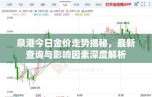 泉港今日金价走势揭秘，最新查询与影响因素深度解析