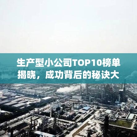 生产型小公司TOP10榜单揭晓，成功背后的秘诀大揭秘！