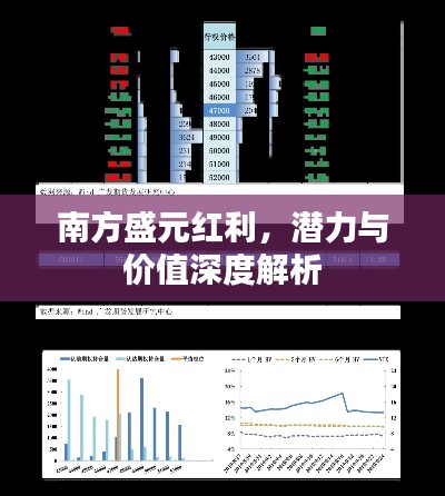 南方盛元红利，潜力与价值深度解析