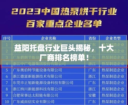 益阳托盘行业巨头揭秘，十大厂商排名榜单！