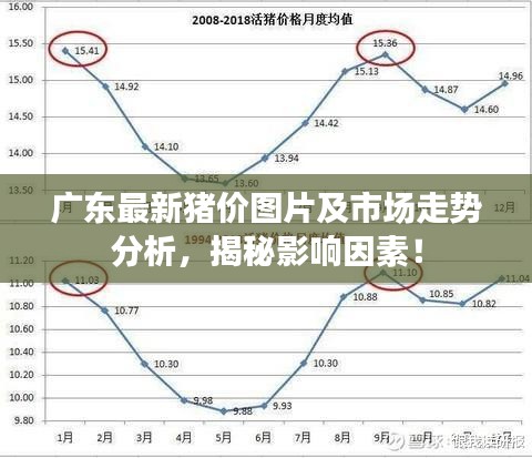 2025年1月28日 第13页