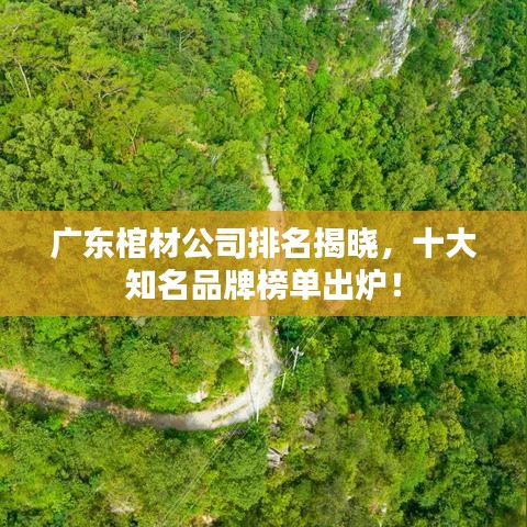 广东棺材公司排名揭晓，十大知名品牌榜单出炉！