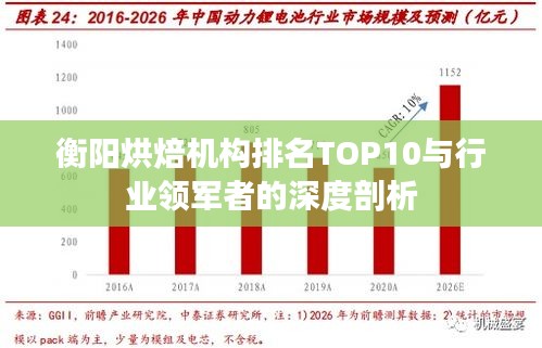 衡阳烘焙机构排名TOP10与行业领军者的深度剖析