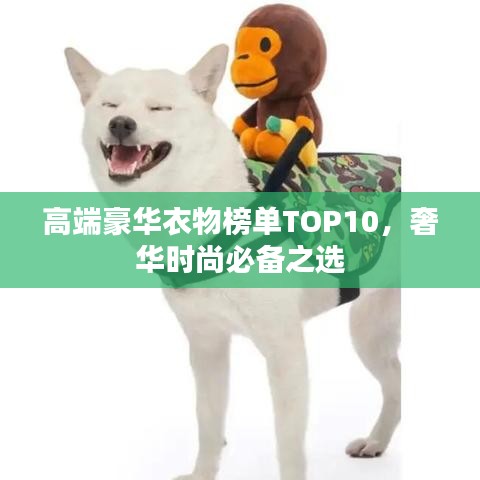 高端豪华衣物榜单TOP10，奢华时尚必备之选