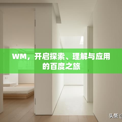 WM，开启探索、理解与应用的百度之旅