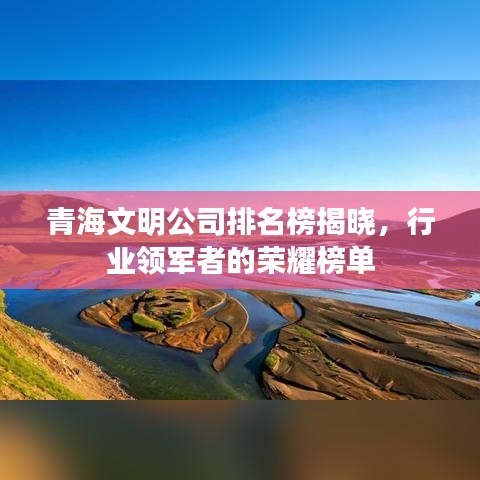 青海文明公司排名榜揭晓，行业领军者的荣耀榜单