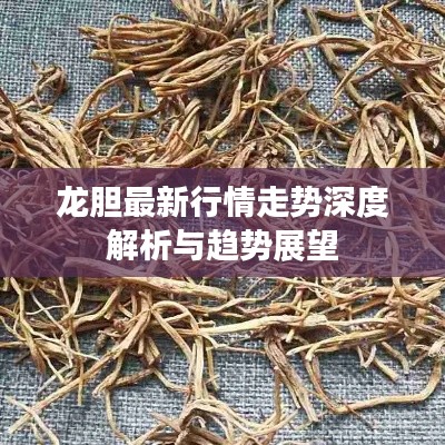 龙胆最新行情走势深度解析与趋势展望