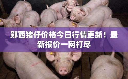 郧西猪仔价格今日行情更新！最新报价一网打尽