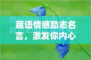 藏语情感励志名言，激发你内心深处的力量