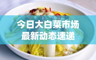 今日大白菜市场最新动态速递