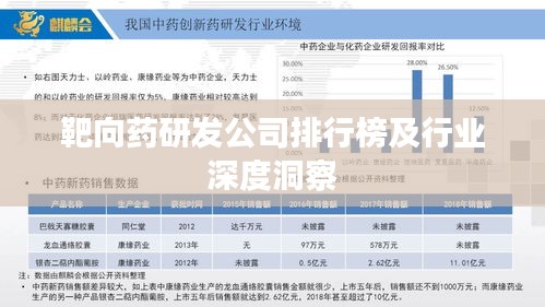 靶向药研发公司排行榜及行业深度洞察