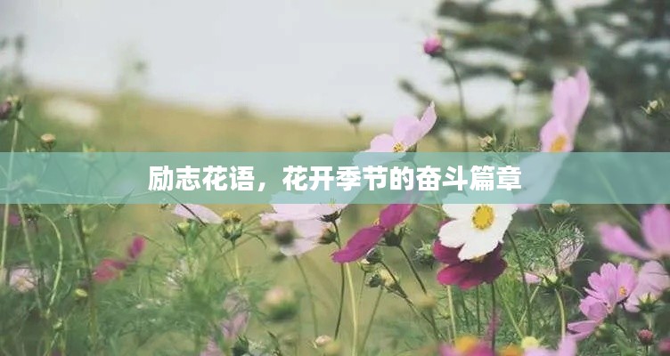 励志花语，花开季节的奋斗篇章