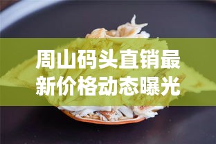 周山码头直销最新价格动态曝光