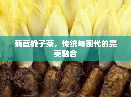 菊苣桅子茶，传统与现代的完美融合