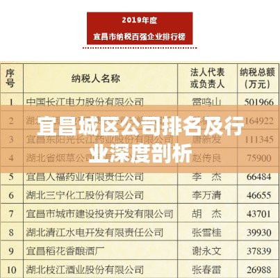 宜昌城区公司排名及行业深度剖析