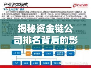 揭秘资金链公司排名背后的影响力解析！