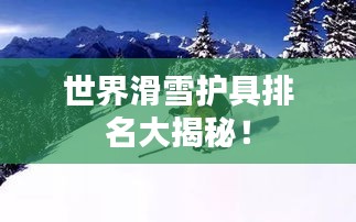 世界滑雪护具排名大揭秘！