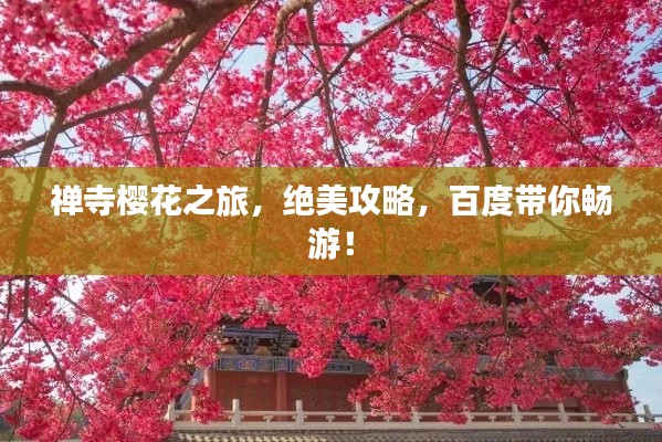 禅寺樱花之旅，绝美攻略，百度带你畅游！