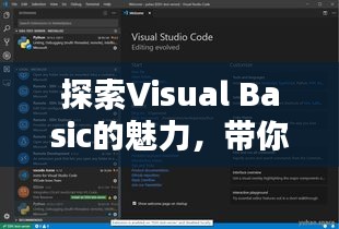 探索Visual Basic的魅力，带你玩转编程世界！