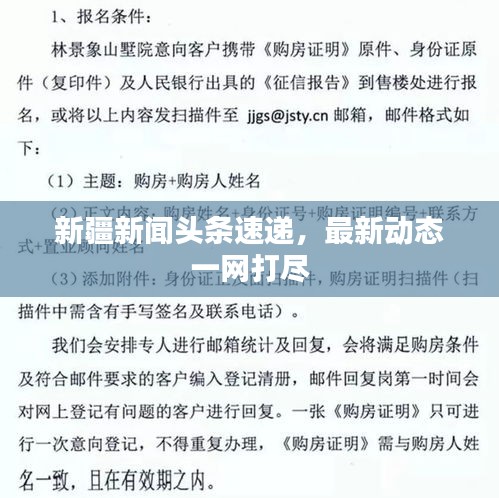 新疆新闻头条速递，最新动态一网打尽