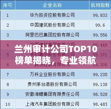 兰州审计公司TOP10榜单揭晓，专业领航者的信誉之选！