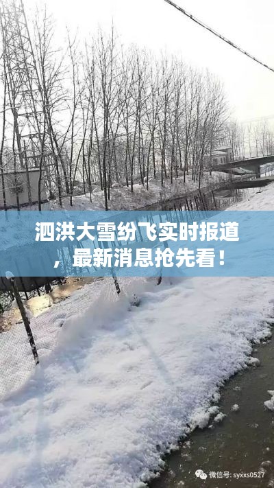 泗洪大雪纷飞实时报道，最新消息抢先看！