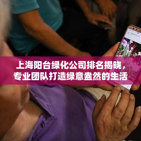 上海阳台绿化公司排名揭晓，专业团队打造绿意盎然的生活空间