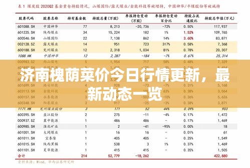 济南槐荫菜价今日行情更新，最新动态一览