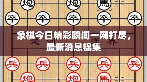 象棋今日精彩瞬间一网打尽，最新消息锦集